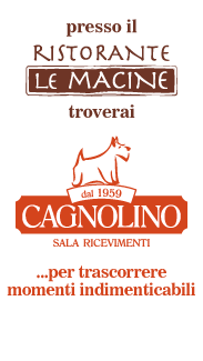 cagnolino